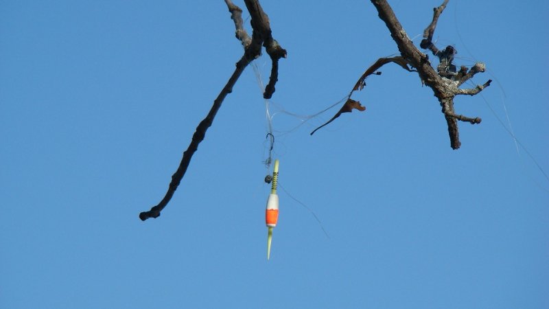 specjalnie dla Senatora