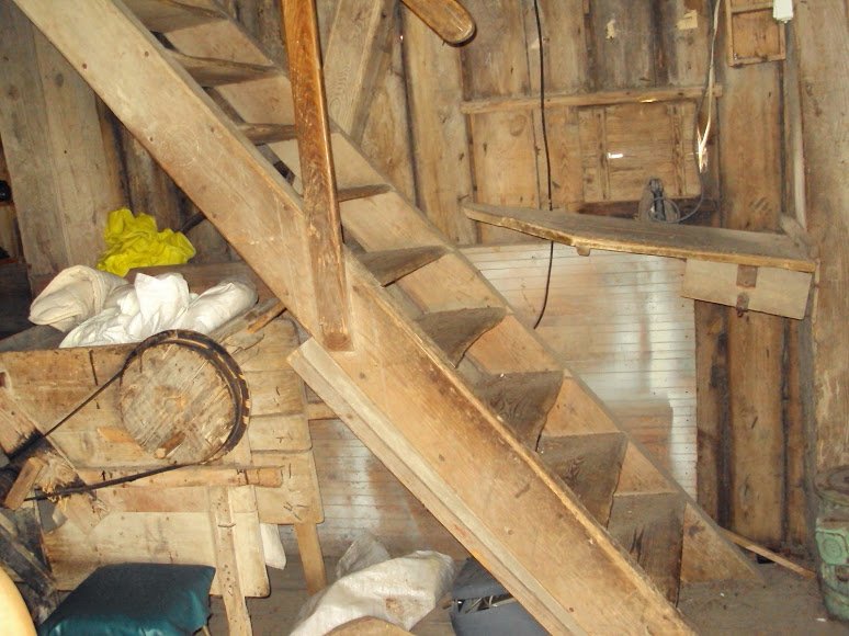http://madagaskar08.pl/wp-content/uploads/2019/05/DSC00423.jpg