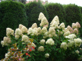 DSC04508