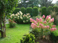 DSC04511