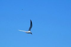 DSC07120