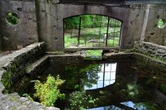 DSC01007