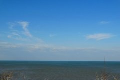 DSC06447
