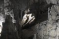 blkns3_sm-65