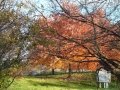 dsc06770