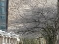 DSC02377