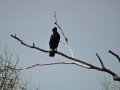 DSC05947.JPG