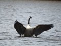 DSC05950.JPG