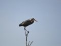 DSC05974.JPG