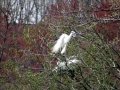 DSC05986.JPG
