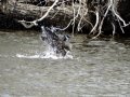 DSC06015.JPG