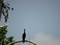 DSC08470