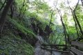 DSCN7979