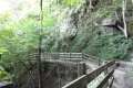 DSCN7984