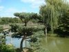 dsc04269s