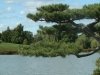 dsc04275s