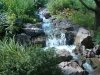 dsc04296s