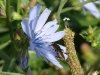 dsc01740