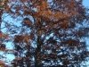 dsc05073