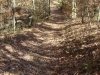 dsc05117