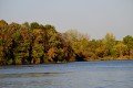 DZ8_7474a