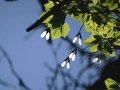 DSC06346.JPG
