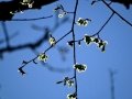 DSC06347.JPG