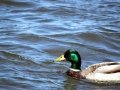 DSC06368.JPG