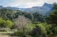 _DSC7391