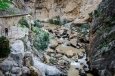 _DSC7460