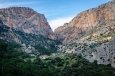 _DSC7531