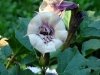 dsc02634