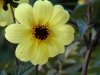 dsc02639