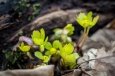 _DSC8445