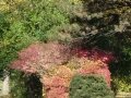 dsc06961
