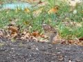 DSC03629