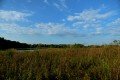 D85_1547a