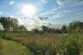 D85_1548a