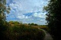 D85_1554a