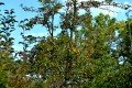 D85_1559a