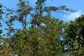 D85_1563a