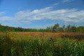 D85_1565a