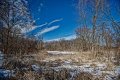 D85_2453