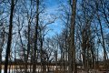 D85_2456