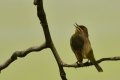D85_0807