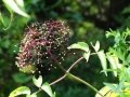 DSC08608