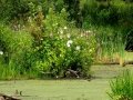 DSC08544