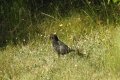 june_sm-49