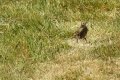 june_sm-52