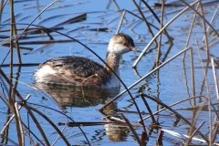 DSC06290